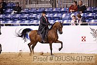 09usn-01797 proof