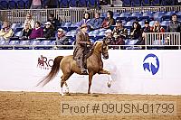 09usn-01799 proof