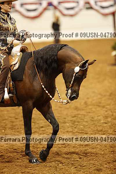 Proof 09usn-04790
