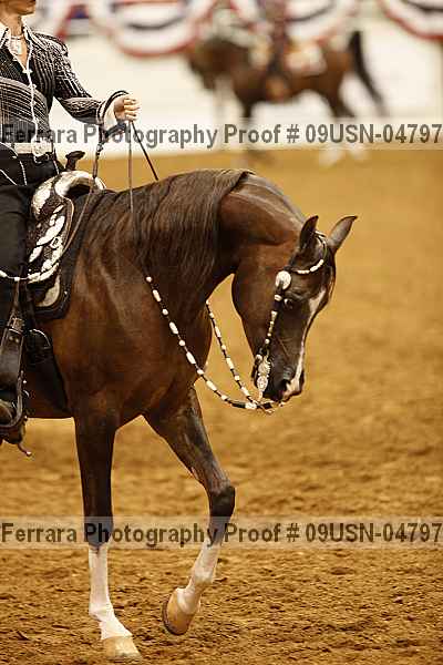Proof 09usn-04797