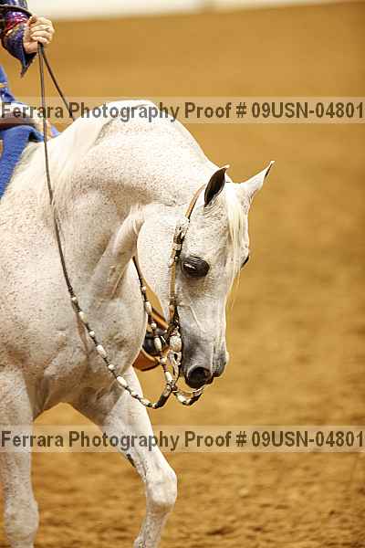 Proof 09usn-04801