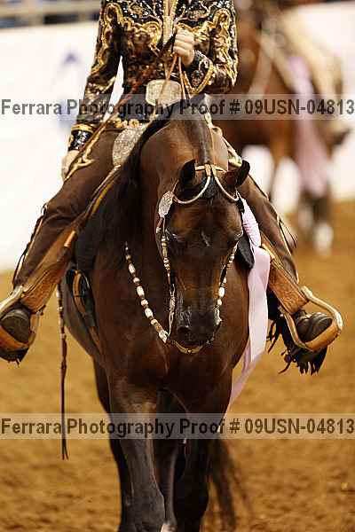 Proof 09usn-04813