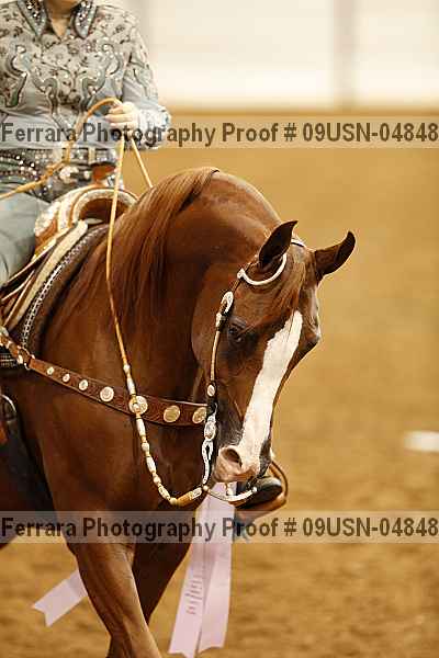 Proof 09usn-04848