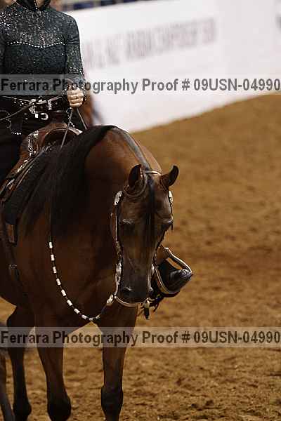 Proof 09usn-04990