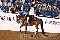 09usn-05203 proof