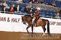 09usn-05207 proof