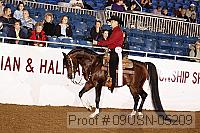 09usn-05209 proof