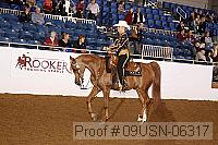 09usn-06317 proof
