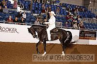 09usn-06324 proof