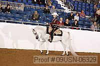 09usn-06329 proof