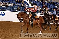 09usn-06333 proof