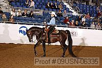 09usn-06335 proof