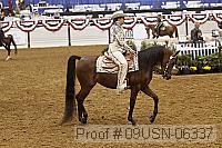 09usn-06337 proof