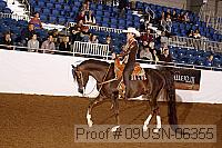 09usn-06355 proof