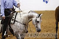 09usn-06366 proof