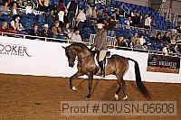 09usn-05608 proof