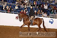 09usn-05610 proof