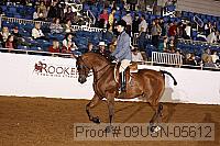 09usn-05612 proof