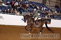 09usn-05613 proof