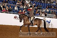 09usn-05636 proof