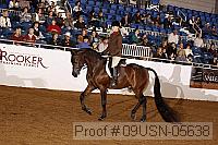 09usn-05638 proof