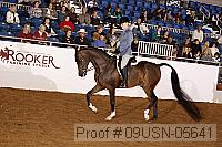 09usn-05641 proof