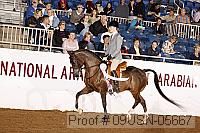 09usn-05667 proof