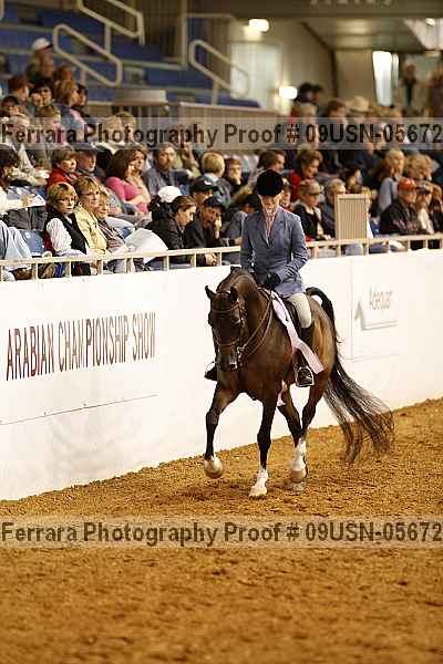 Proof 09usn-05672