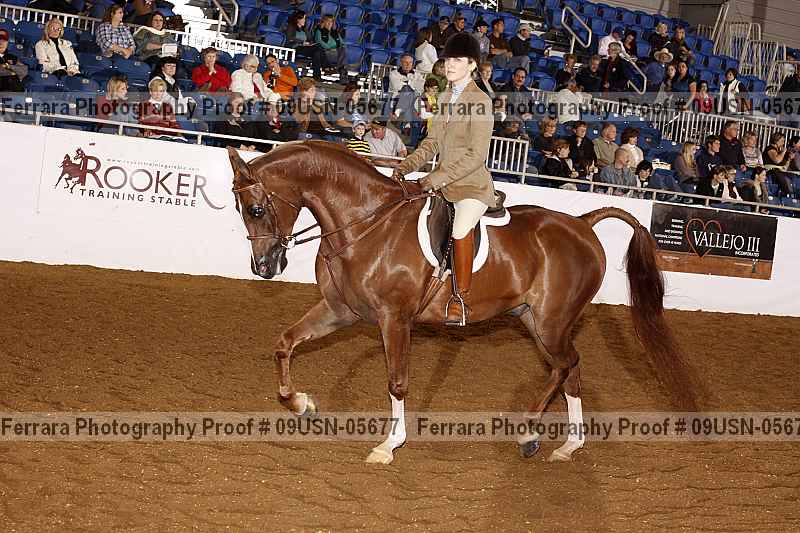 Proof 09usn-05677