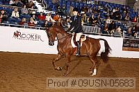 09usn-05683 proof