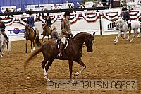 09usn-05687 proof