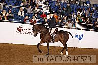 09usn-05701 proof