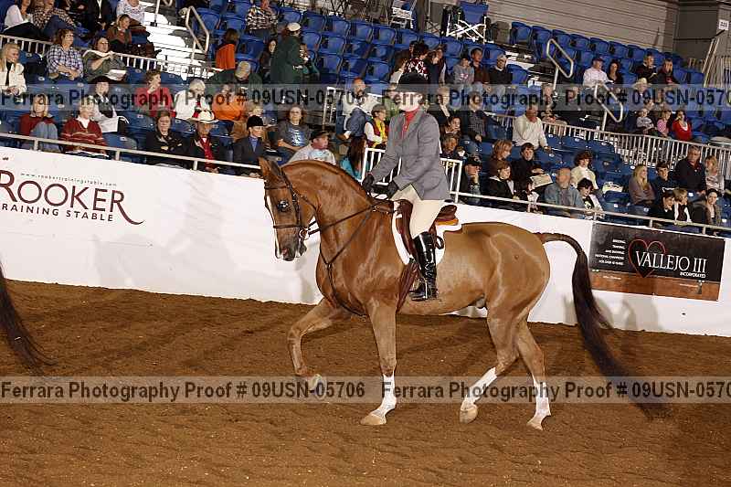 Proof 09usn-05706