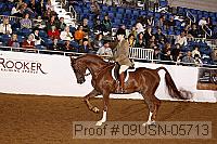 09usn-05713 proof