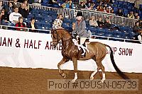 09usn-05739 proof