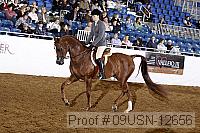 09usn-12656 proof