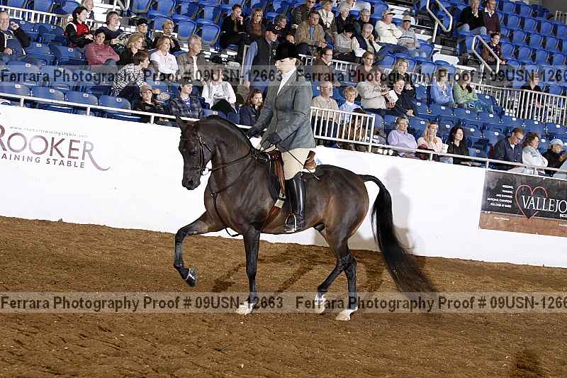 Proof 09usn-12663