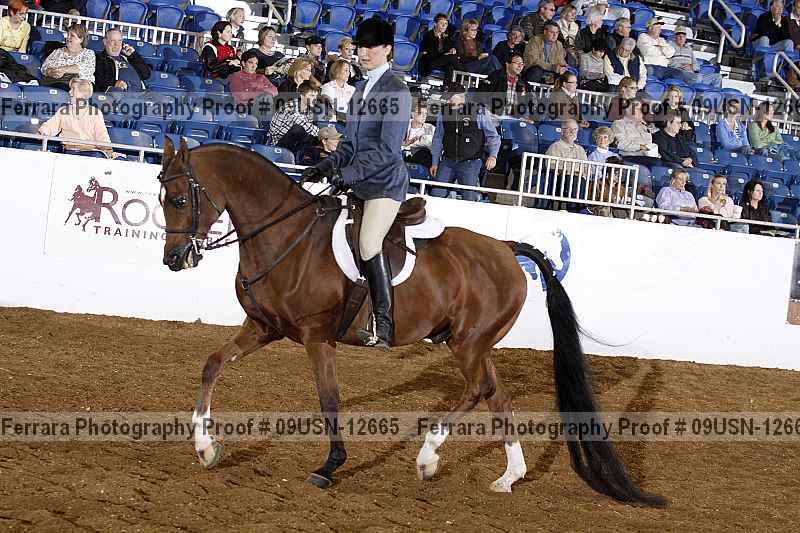 Proof 09usn-12665