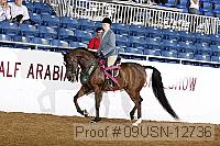 09usn-12736 proof