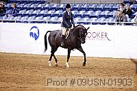 09usn-01903 proof