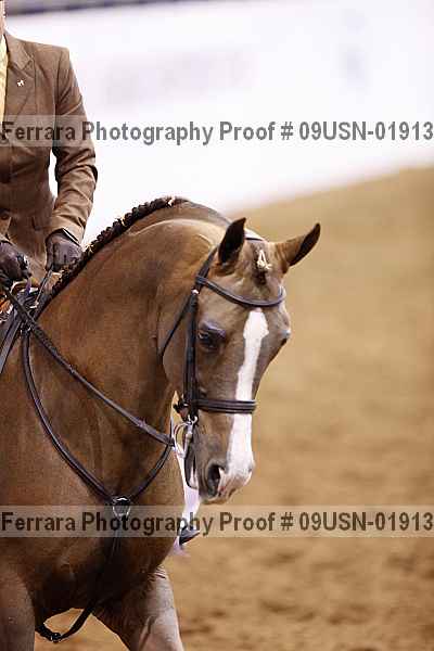 Proof 09usn-01913