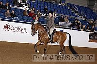 09usn-02107 proof