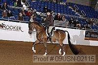 09usn-02115 proof