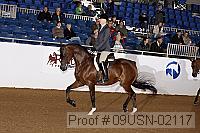 09usn-02117 proof