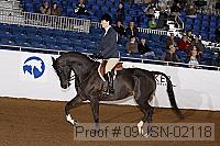 09usn-02118 proof