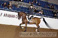 09usn-02127 proof
