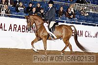 09usn-02133 proof