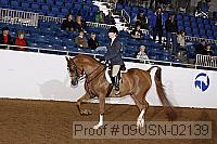 09usn-02139 proof