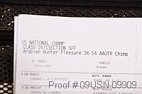09usn-09909 proof