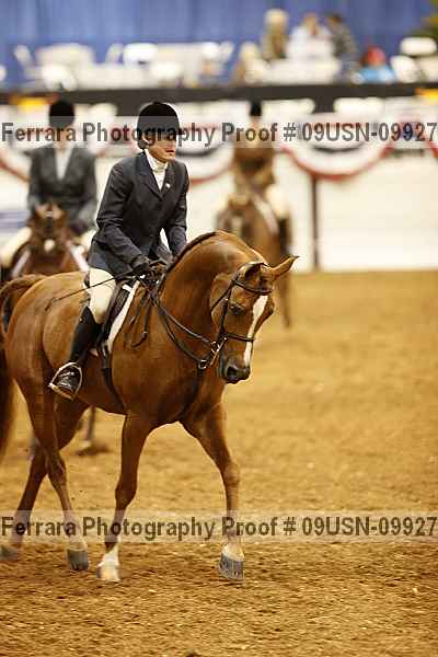 Proof 09usn-09927